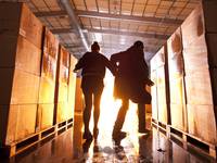 Кадр Утопия