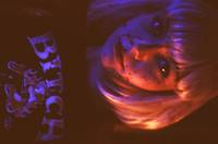 Кадр Колыбель кошмаров (видео)