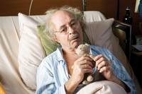 Кадр Динозавры