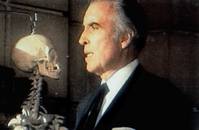 Кадр Вой 2: Стирба – Сука-оборотень