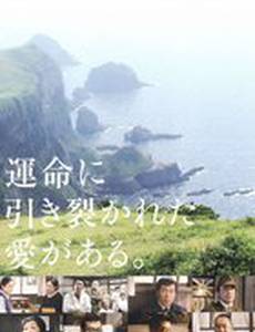 Watashi wa kai ni naritai