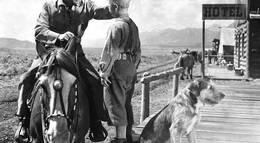 Кадр из фильма "Шейн" - 1