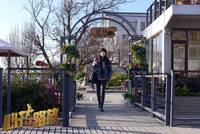 Кадр Лучшие друзья