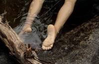 Кадр Джиндабайн