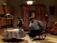 Кадр Боцман и попугай