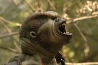 Кадр Джек Брукс