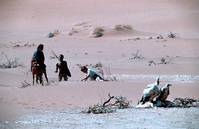 Кадр В плену песков