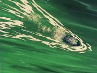 Кадр Великий Мазингер