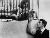 Кадр Кузены