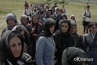 Кадр Гнездо жаворонка