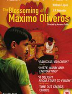 Цветение Максимо Оливероса