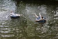 Кадр Как я теперь люблю