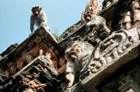 Кадр Страна обезьян