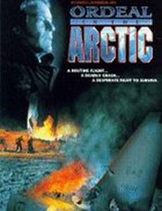 Искупление в Арктике