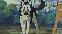 Кадр из фильма "Легенда о Серебряном Клыке Уиде" - 1