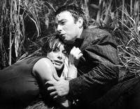 Кадр Золото Рима