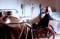 Кадр Сон безумной обезьяны