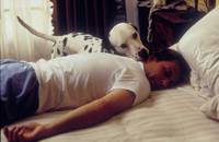 Кадр 101 далматинец