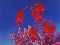 Кадр Пчелка Майя