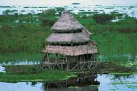 Кадр El Gran Dragon