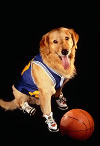 Кадр Король воздуха