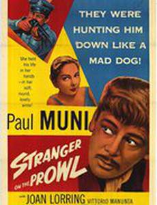 Незнакомец на прогулке