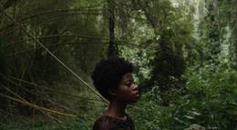 Кадр из фильма "Кваку Ананси" - 2