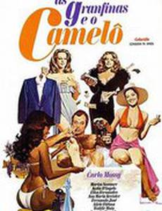 As Grã-Finas e o Camelô