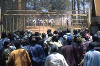 Кадр Отстреливая собак