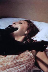 Кадр Птица с хрустальным оперением