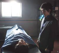 Кадр Война цветов