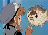 Кадр Сакура – собирательница карт