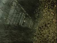 Кадр Сказка сказок