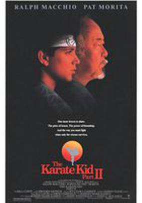 Парень-каратист 2