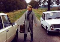 Кадр Яблони