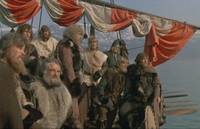 Кадр И на камнях растут деревья