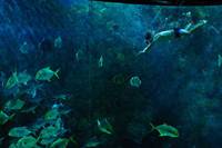 Кадр Рай океана