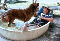 Кадр Лето напрокат