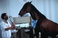 Кадр Удачное наследство