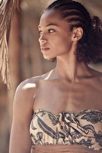 Кадр Пальмы в снегу