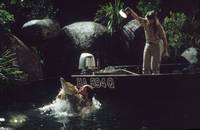 Кадр Охотник на крокодилов: Схватка