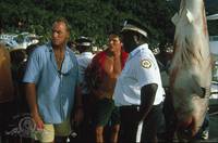 Кадр Тварь Питера Бенчли