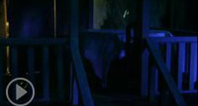 Мультфильм 