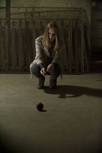 Кадр Американская история ужасов