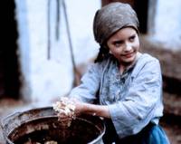 Кадр Осеннее молоко