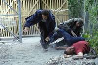 Кадр Состав