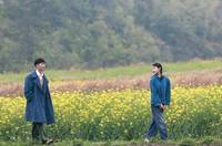 Кадр Под ветвями боярышника