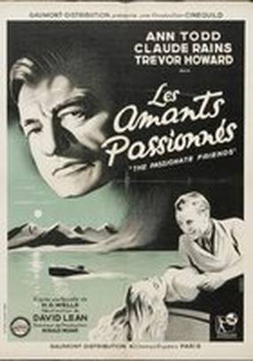 Страстная дружба