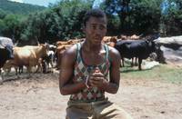 Кадр Разумный человек