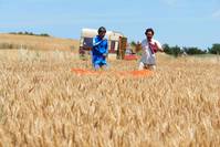 Кадр Фокусник